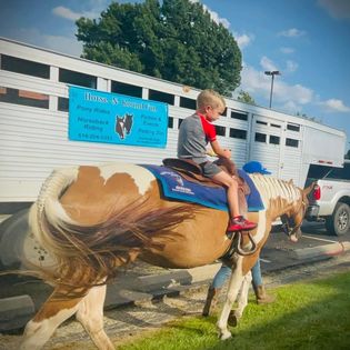 Church Entertainment, Family Friendly Entertainment, Pony Rides, Horseback Riding, Horse Party, Unicorn Party, Mobile Pony Party, Mobile Pony Rides, GC OH