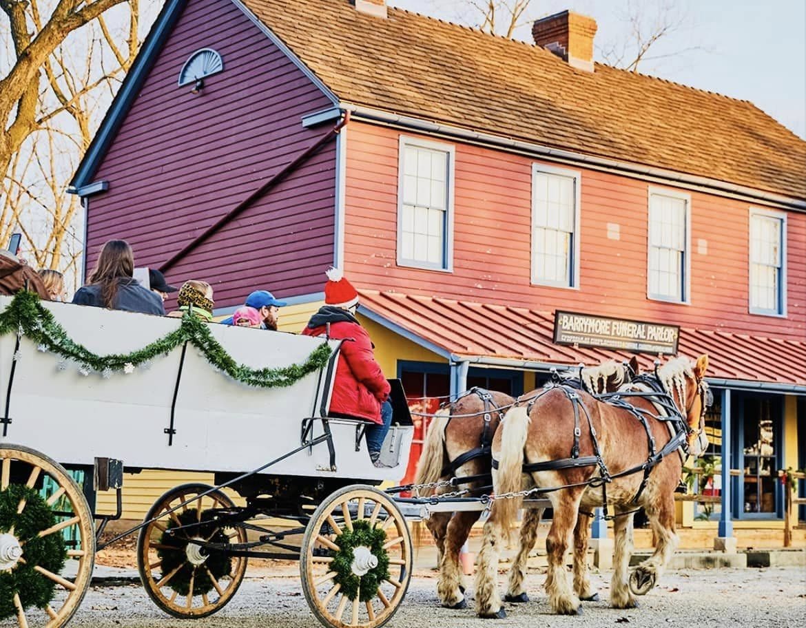 carriage rides
horse drawn carriage rides
carriage rides for christmas
carriage rides christmas lights
carriage rides columbus ohio
horse carriage for wedding